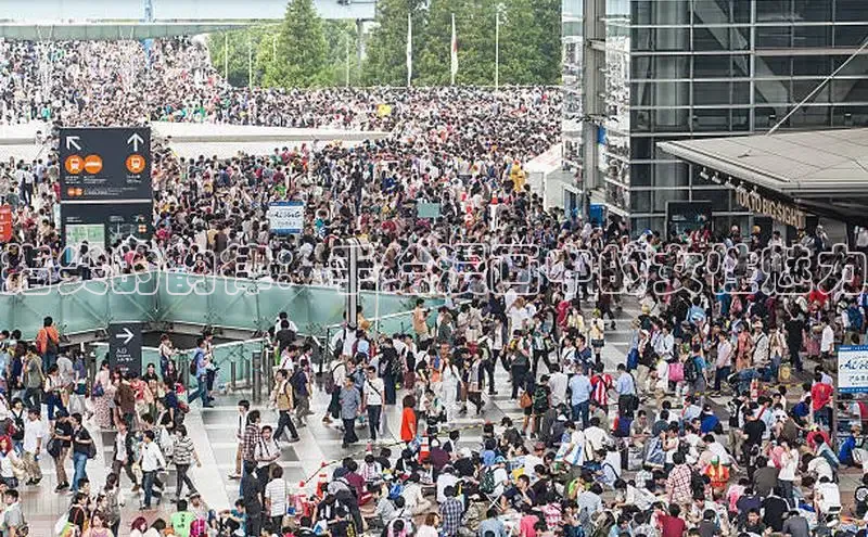 51动画网页版官网