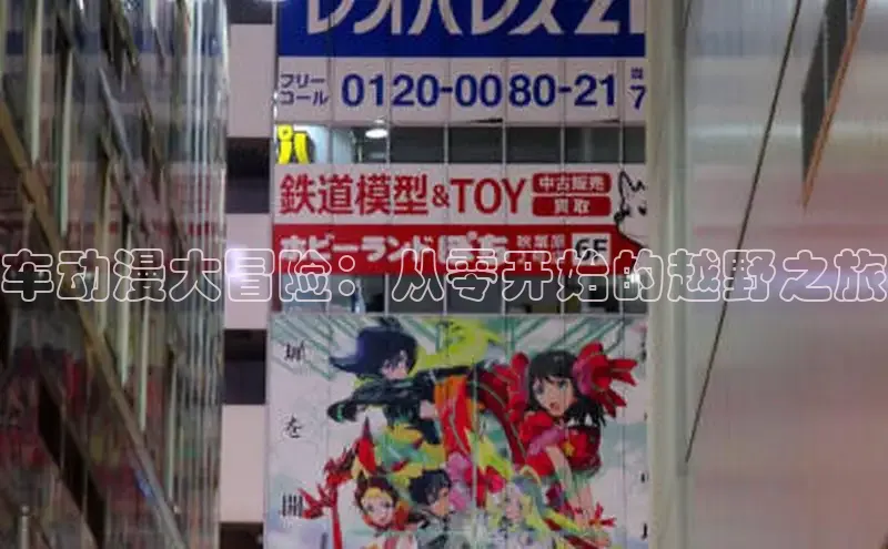 五一动画网页版