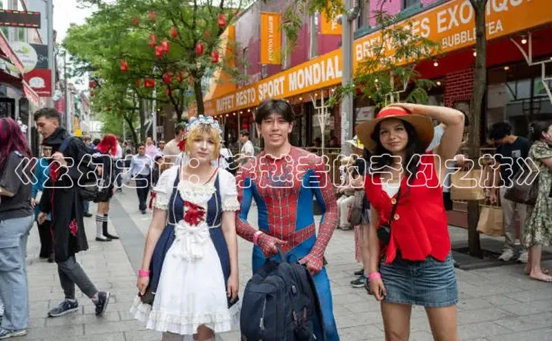 五一动画网页版